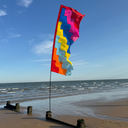 Festival-style flag waving at the beach on a sunny day