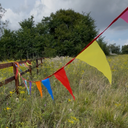 Colourful bunting flags in a field with trees and sky in the background