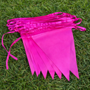 Pink Triangle Bunting - 10m