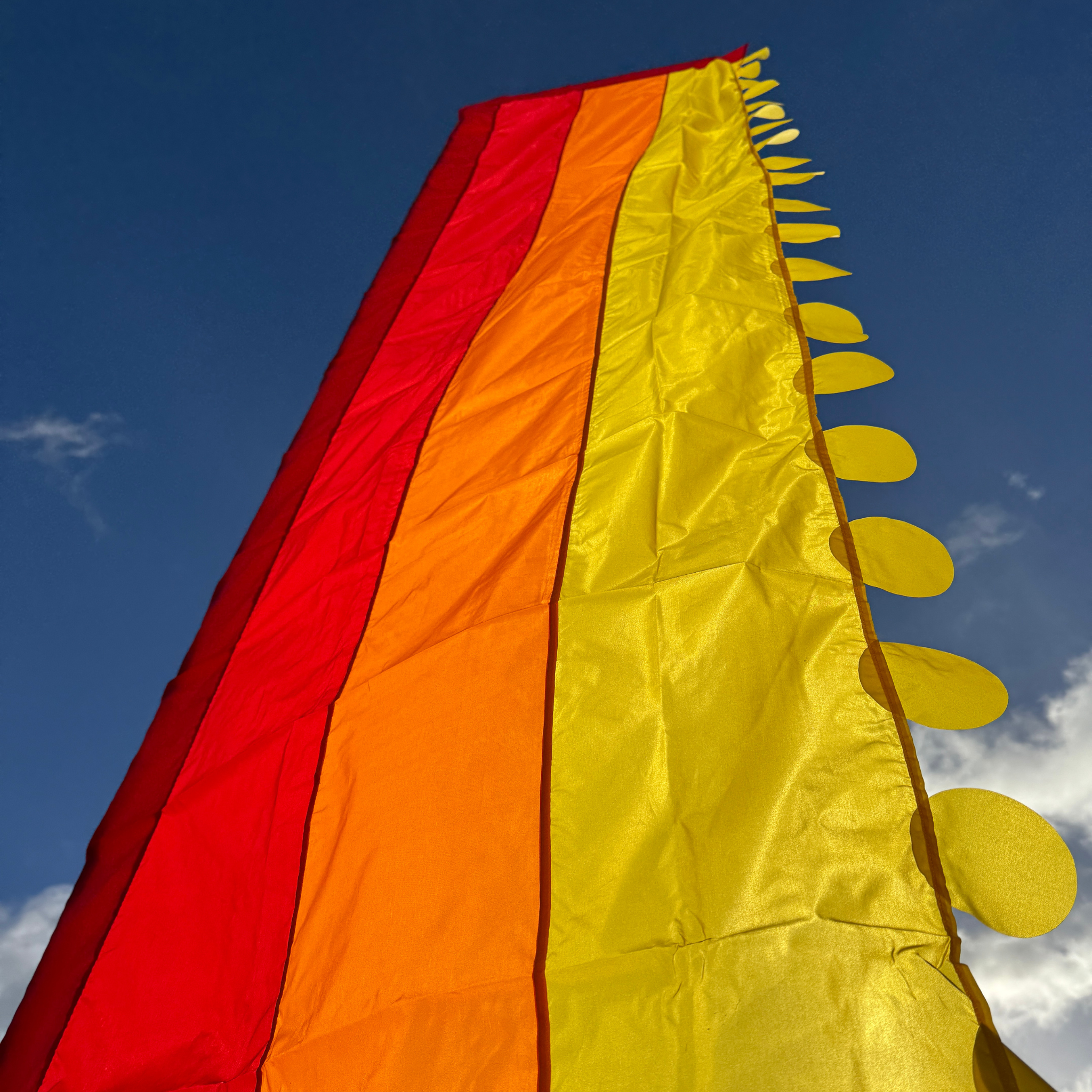 Israel Raya Flag Raya Festival Flag - Red – Flag Social