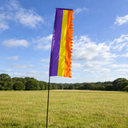 Rainbow flag on a pole in a grassy field with trees and blue sky in the background