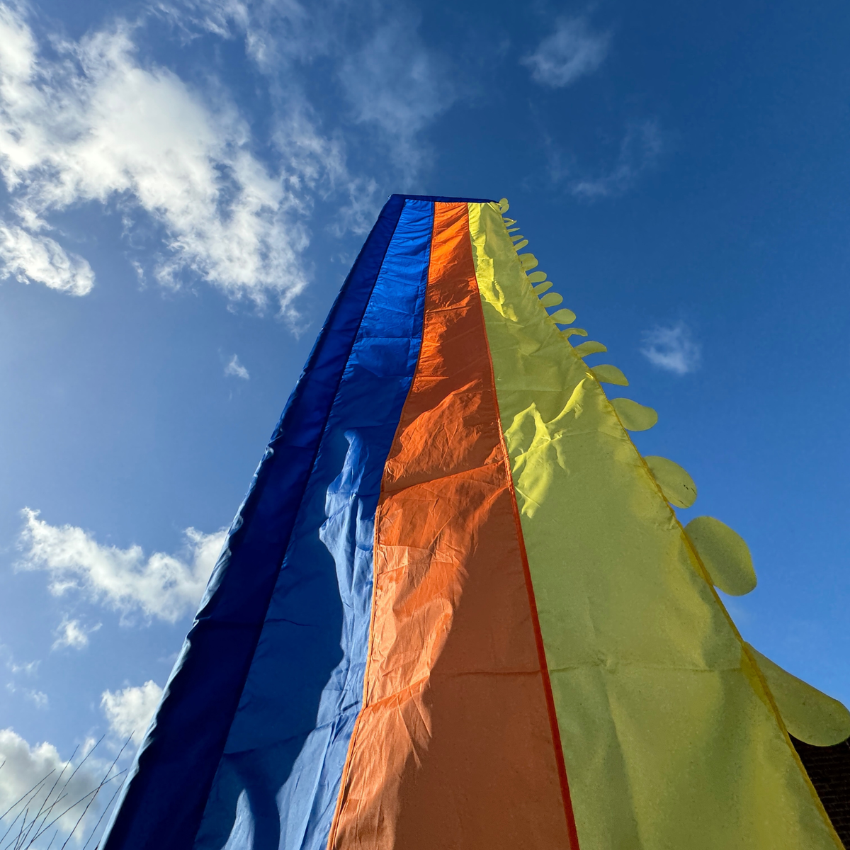 Israel Raya Flag Raya Festival Flag - Blue – Flag Social