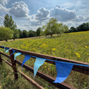 Blue bunting on a wooden fence with a field of yellow flowers and trees in the background.