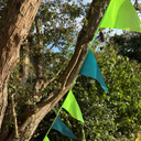 Pale and dark green triangular bunting hanging from a tree