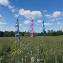 Colourful festival flags in a field with a blue sky and clouds