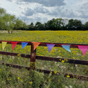 Colourful bunting flags on a wooden fence with a field and trees in the background