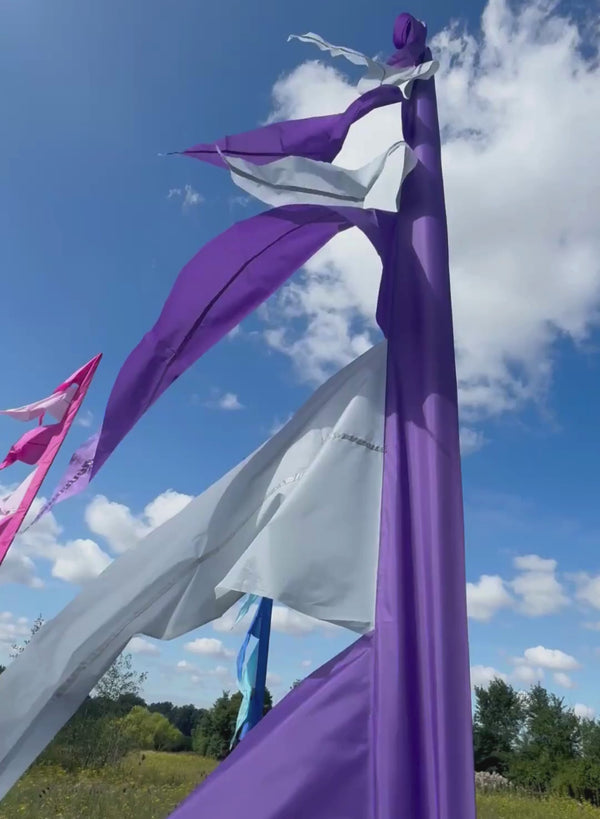 Close-ups of flags blowing in the wind