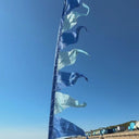 Close-up of a blue festival flag blowing in the wind on a beach